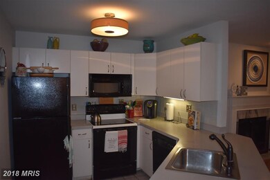 21 Tintern Ct unit 103, Lutherville Timonium, MD 21093 - photo 5