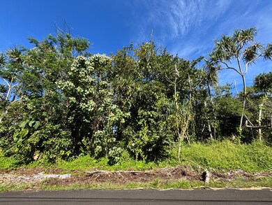 0 Oopu St unit 726165, Hawaiian Beaches, HI 96778 - photo 4