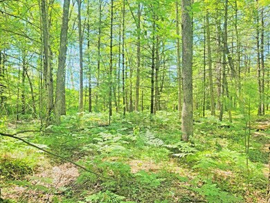 HDR_20220709_132357