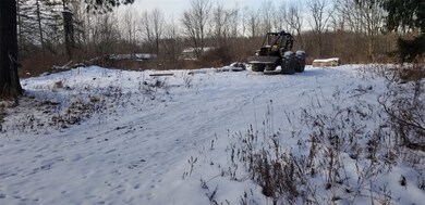 10670 Dicksonburg Rd, Conneautville, PA 16406 - photo 4