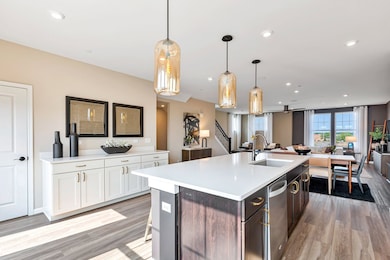 251 Mary Dr unit 14663, Schaumburg, IL 60193 - photo 4