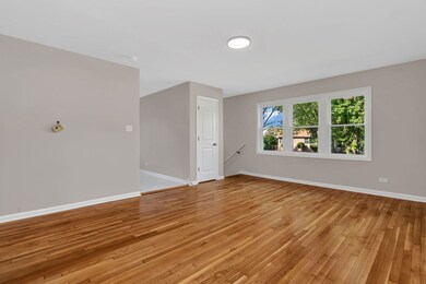 16633 Paulina St, Markham, IL 60428 - photo 4