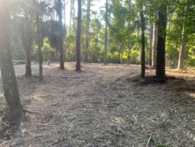 5 Oak St, Crawfordville, FL 32327 - photo 6