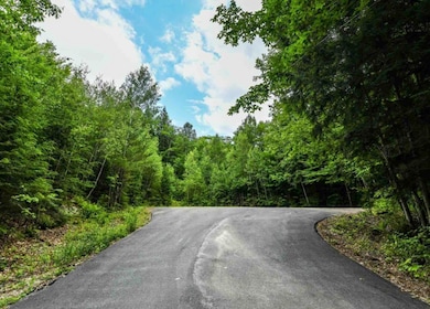 53 Diamond Ledge Rd, Thornton, NH 03285 - photo 7