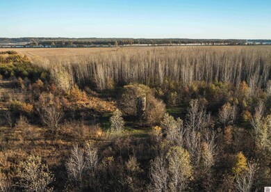 0 Wolf Island Rd, Clinton, KY 42031 - photo 7