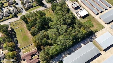 000 Holly Bush Rd, Brandon, MS 39047 - photo 6