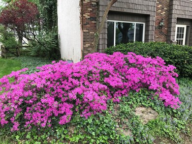 Beautiful Perennials!