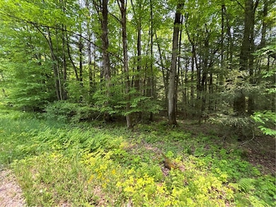 0 Spring Rd S, Ossian, NY 14437 - photo 4