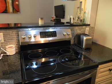 2259 Castle Rock Square unit 2B, Reston, VA 20191 - photo 5