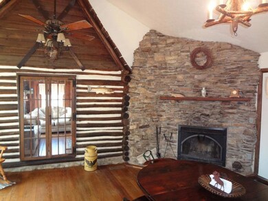 Fireplace & Den