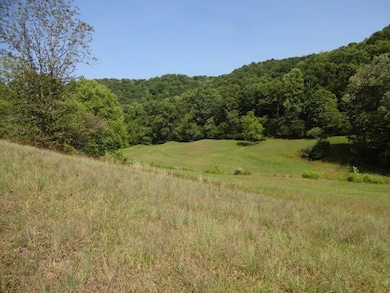 0 Blown Timber Rd, Newton, WV 25266 - photo 7