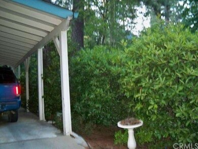 Natural Landscaping for Privacy