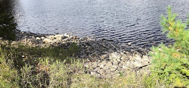 13428 W Shore Dr, Millersburg, MI 49759 - photo 4