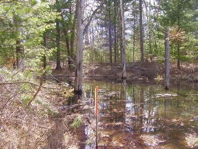 View # 1 Wildlife Pond
