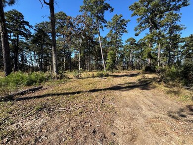 021 Private Road 6028 unit Tract 1-21, Brookeland, TX 75931 - photo 2