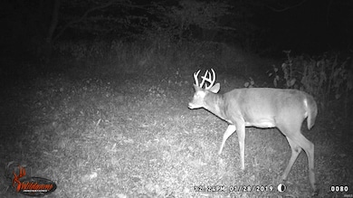 18347 14th Rd, Culver, IN 46511 - photo 4