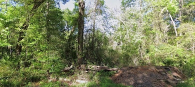 000 SE 926th St, Old Town, FL 32680 - photo 3