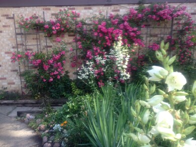 YOUR GARDEN IN BLOOM