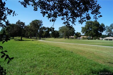 825 E Dakota Ct, Hernando, FL 34442 - photo 5