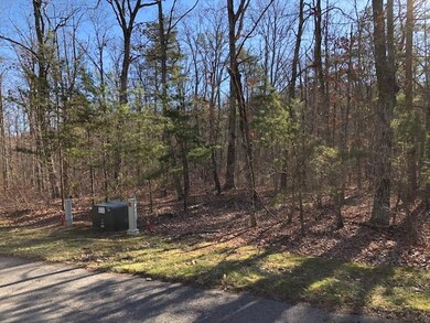 Front Lot