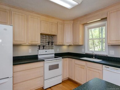 2253 Pleasant Grove Rd, Hendersonville, NC 28739 - photo 7