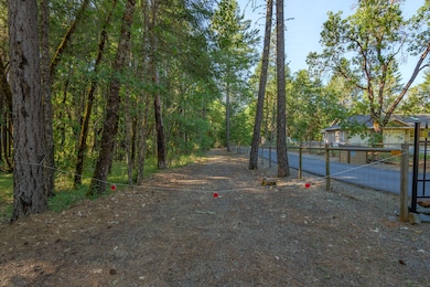 355FirviewLn-007