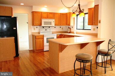 20508 Aspenwood Ln, Montgomery Village, MD 20886 - photo 3