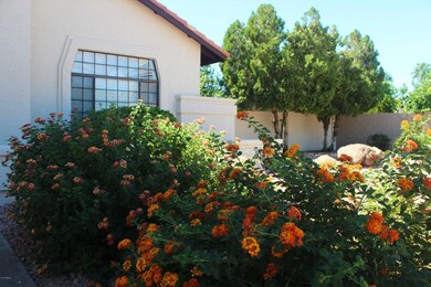 1811 E Citation Ln, Tempe, AZ 85284 - photo 4