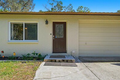 9844 Xenia St, New Port Richey, FL 34654 - photo 4
