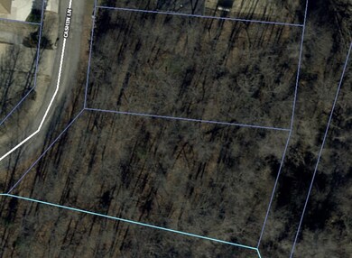 14 Cashin Ln, Bella Vista, AR 72715 - photo 3