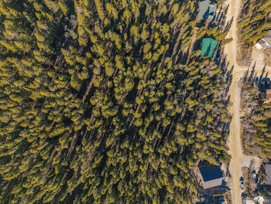 431 N Aspen St unit 5, Alma, CO 80420 - photo 5