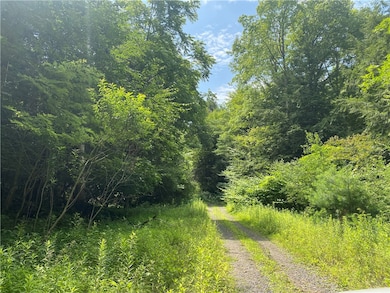 925 Haytown Rd, Grampian, PA 16838 - photo 6