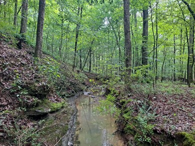 BigRidge_40-04