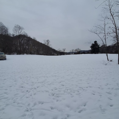 0 Above Rt 2 at Forbes & Energy Hwy unit 138670, New Martinsville, WV 26155 - photo 6