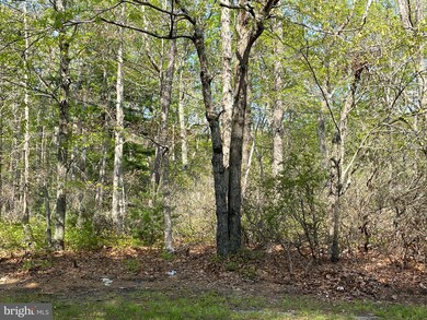 0 Stafford Forge Rd unit NJOC2010096, West Creek, NJ 08092 - photo 3