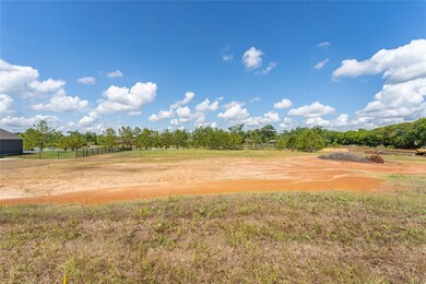 0 Thousand Oaks 04 Block 2 Lot 14 unit 24829355, Magnolia, TX 77354 - photo 5
