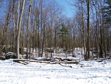 110 Blue Heron Way, Hawley, PA 18428 - photo 6