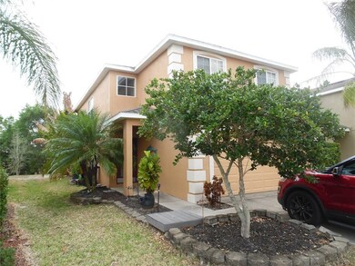front elevation from ground level