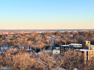 Montebello unit 1102, Alexandria, VA 22303 - photo 3