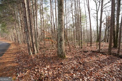 1 Amber Ct, Jasper, GA 30143 - photo 7