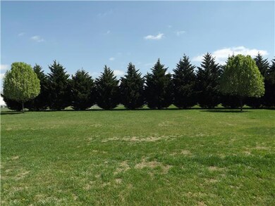 Large back yard with beautiful trees and lots of privacy!