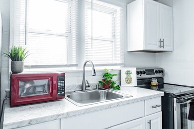 115 Dubois St, Indian Orchard, MA 01151 - photo 7