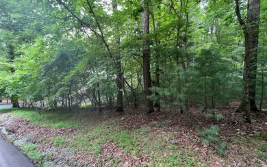 Additional View