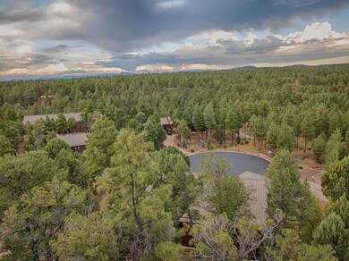 Aerial Forest View