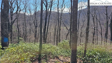 View from property line at ridge