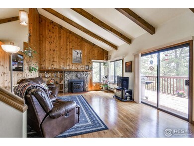 living room w/pellet stove