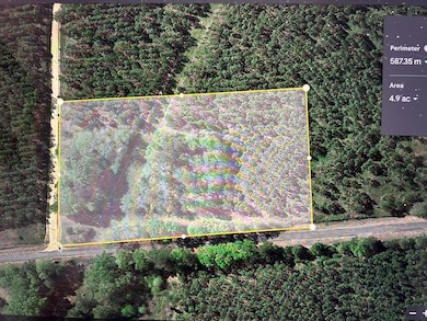 10 +-ac,Lot 1PL Cty Rd 140 Cty Rd 141, Headland, AL 36345 - photo 2