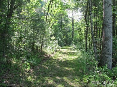 1440 Brookside Camp Rd, Hendersonville, NC 28792 - photo 3