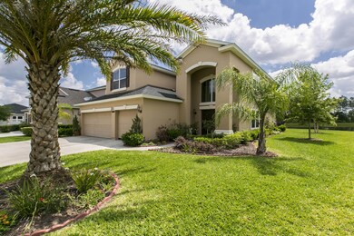 Front & Side Yard