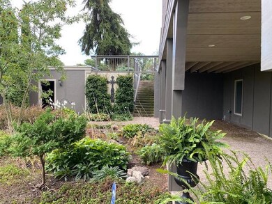 back patio